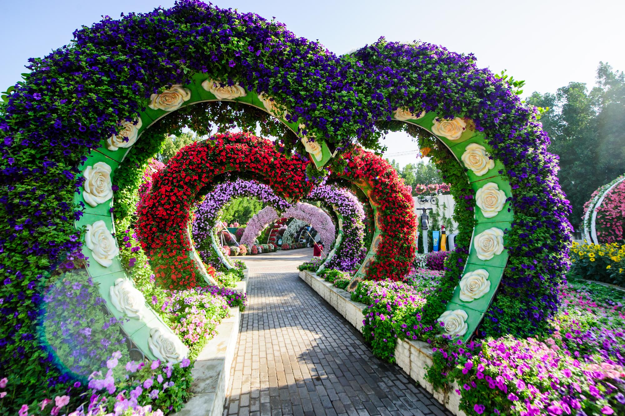 Take a stroll through the Dubai Miracle Garden