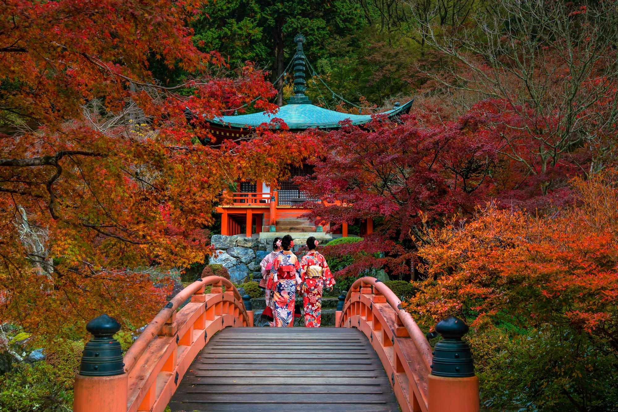 Kyoto offers a glimpse into Japan's rich cultural heritage