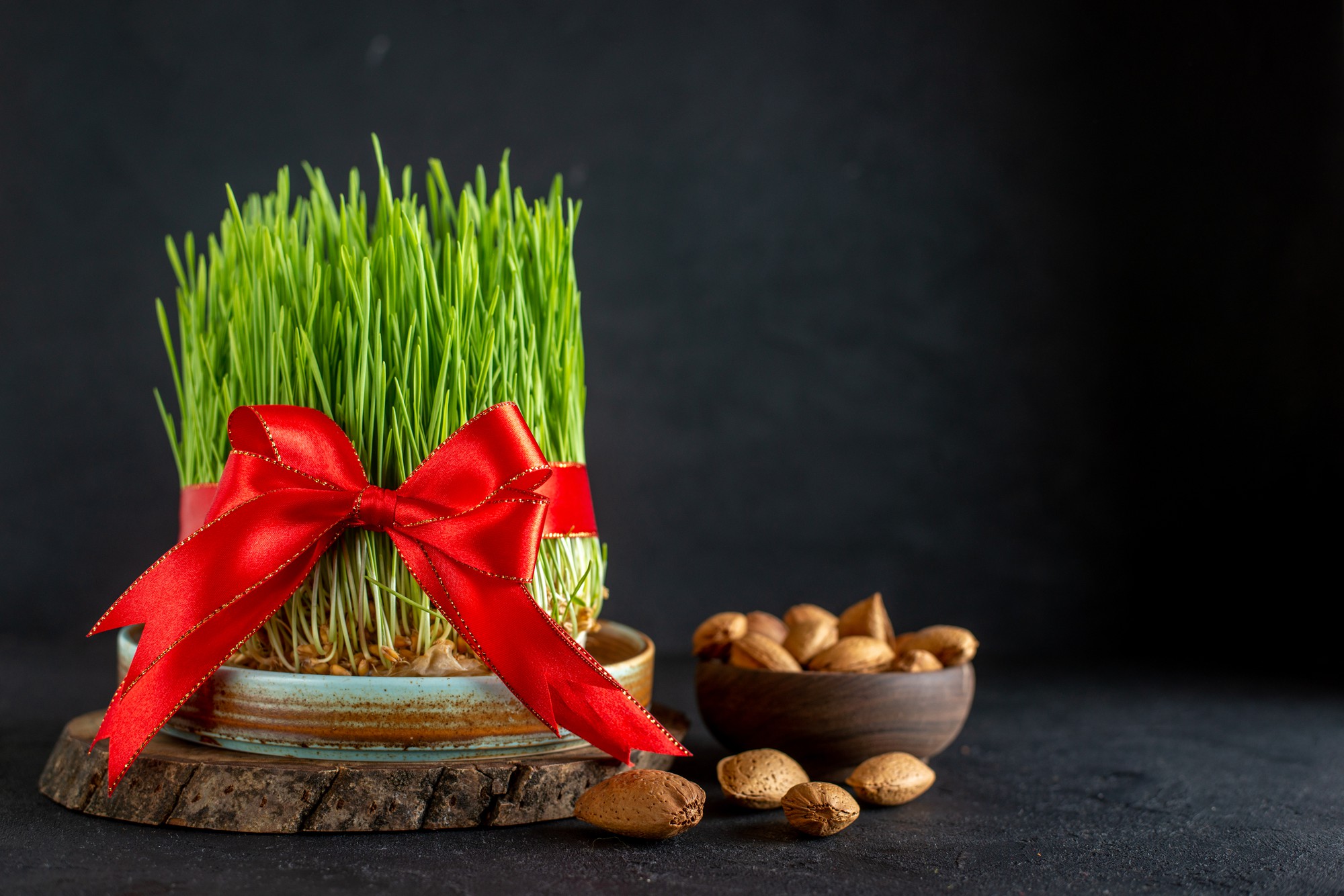 front-view-green-semeni-with-red-bow-nuts-dark-surface