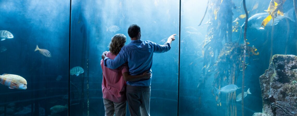 wear-view-couple-looking-fish-tank