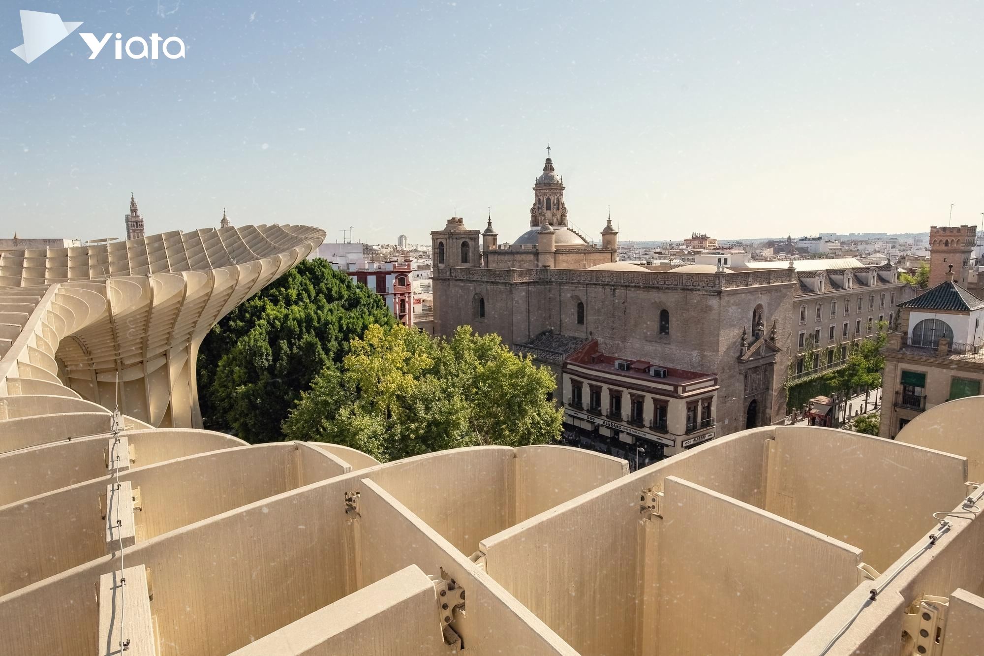 las-setas-de-sevilla-sevilla-mushrooms-center-sunny-day-andalusia-spain