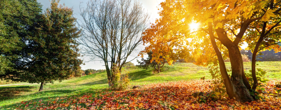 Scenic autumn view of European city with colorful foliage